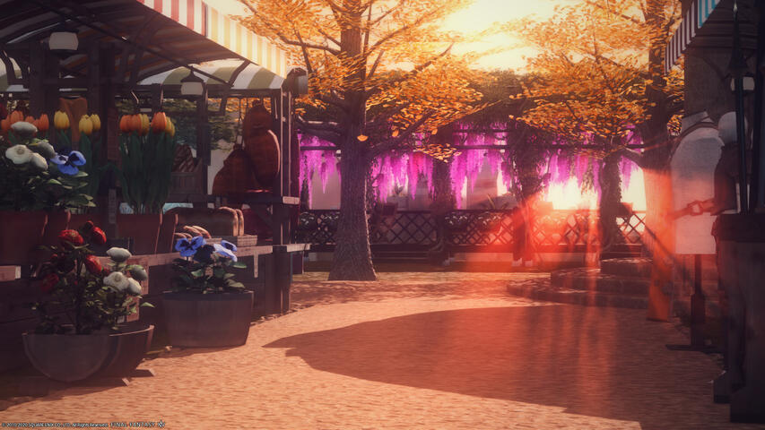 Taken by Juliette Chatelain.